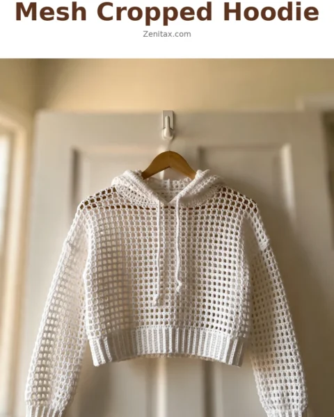 Monochrome White Mesh Cropped Hoodie Free Crochet Pattern