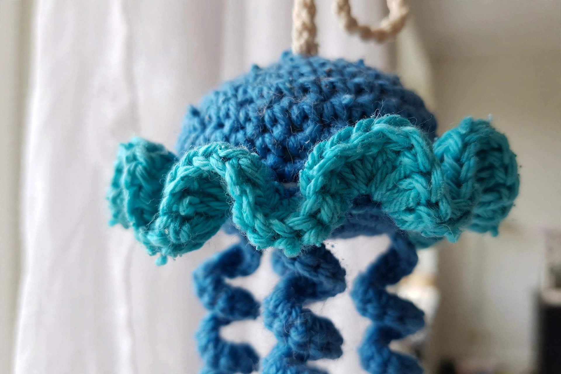 Close-up of the turquoise frill and spiral tentacles